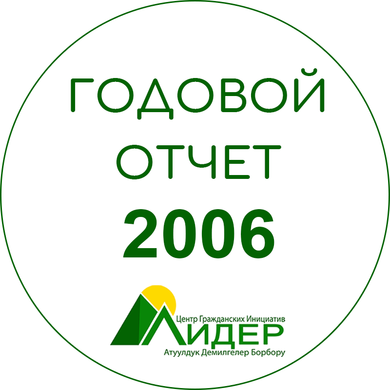 Годовой отчет ОО ЦГИ «Лидер» за 2006 год