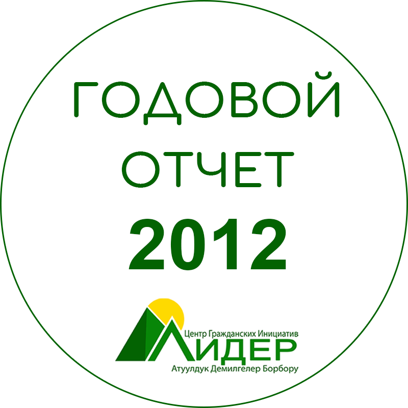 Годовой отчет ОО ЦГИ «Лидер» за 2012 год